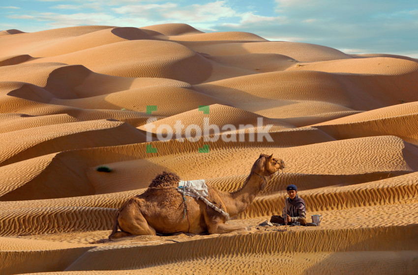 Living in the Desert isn't easy for Everyone a boy sitting with his camel