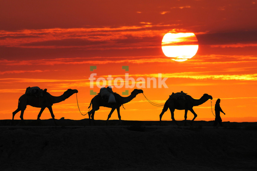 Evening in the Desert, Return Home