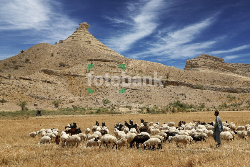 Sandy Mountain with goats grazing in the fields