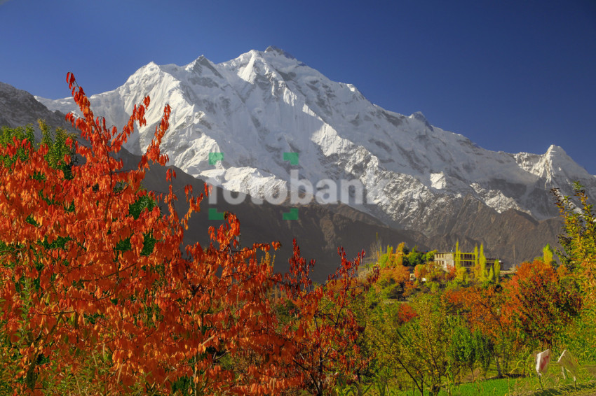 A Beautiful Natural Landscape of a Mountain Covered in Snow with Colorful Trees