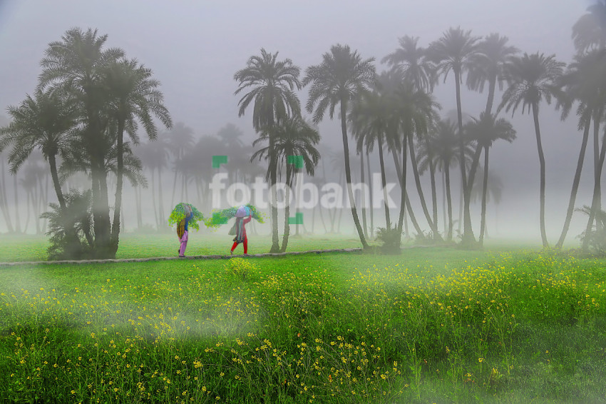 Winter Season in Punjab Village Life