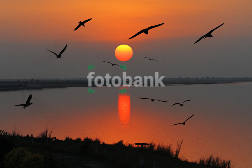 A Beautiful Sunset near the Lake