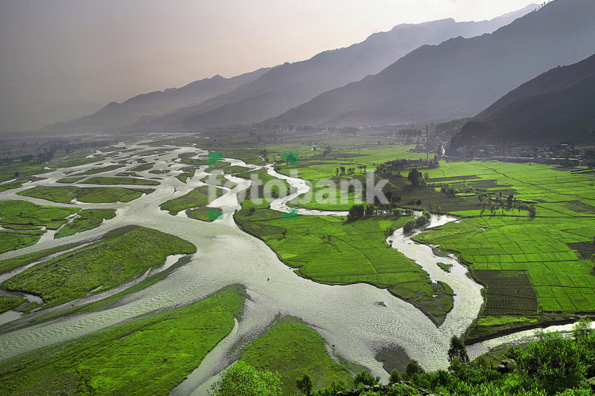 Lush Green field and river flowing under the Mountains