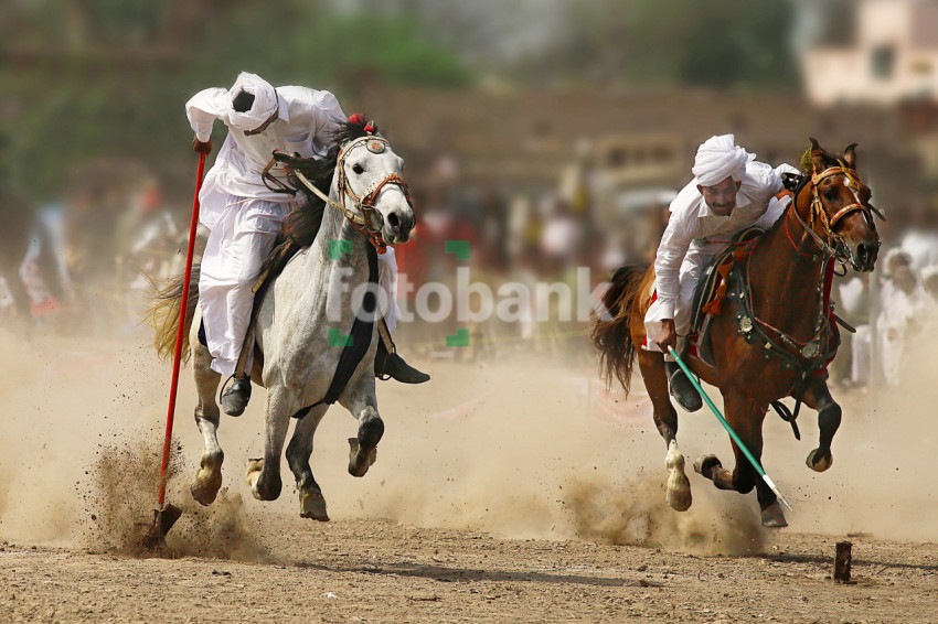 Tent Pegging the ancient Sport of Cavalary