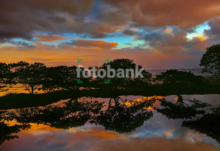 Natural Lake with Trees