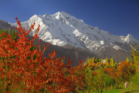 A Beautiful Natural Landscape of a Mountain Covered in Snow with Colorful Trees