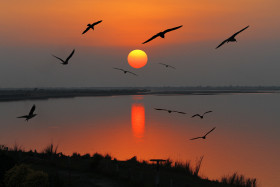 A Beautiful Sunset near the Lake