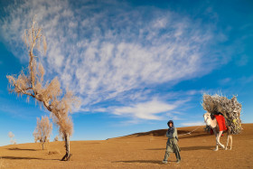 A Boy with his Camel travelling alone in the desert