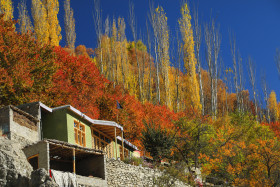 A House on the Mountain with Natural Colorful Tree