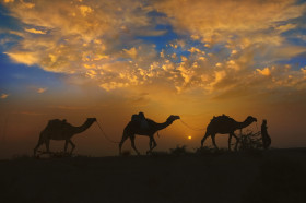 A Man in the Cholistan Desert taking his Camels home Evening with Blue sky and clouds