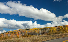 Beautiful Blue Sky in Clouds with Forest in Spring Season