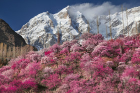 Beautiful Landscape Blossoms of Winter Mountain Covered with Snow