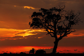 Beautiful Picture of an Evening, Red and Orange Sky Nature is Beautiful