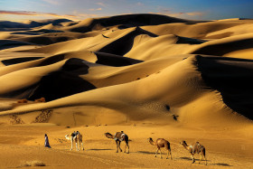 Desert Safari on Camels