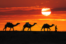 Evening in the Desert, Return Home