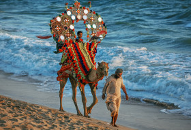 Kid Enjoying Ride on a Camel on a Beach