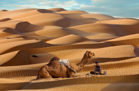 Living in the Desert isn't easy for Everyone a boy sitting with his camel