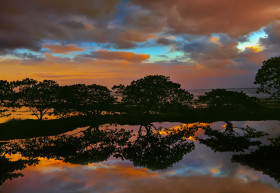 Natural Lake with Trees