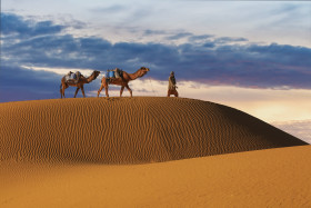 People Lives in the desert Travel on Camels