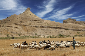 Sandy Mountain with goats grazing in the fields