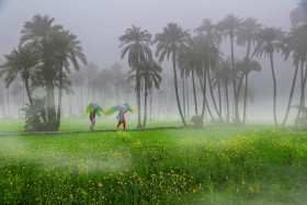 Winter Season in Punjab Village Life